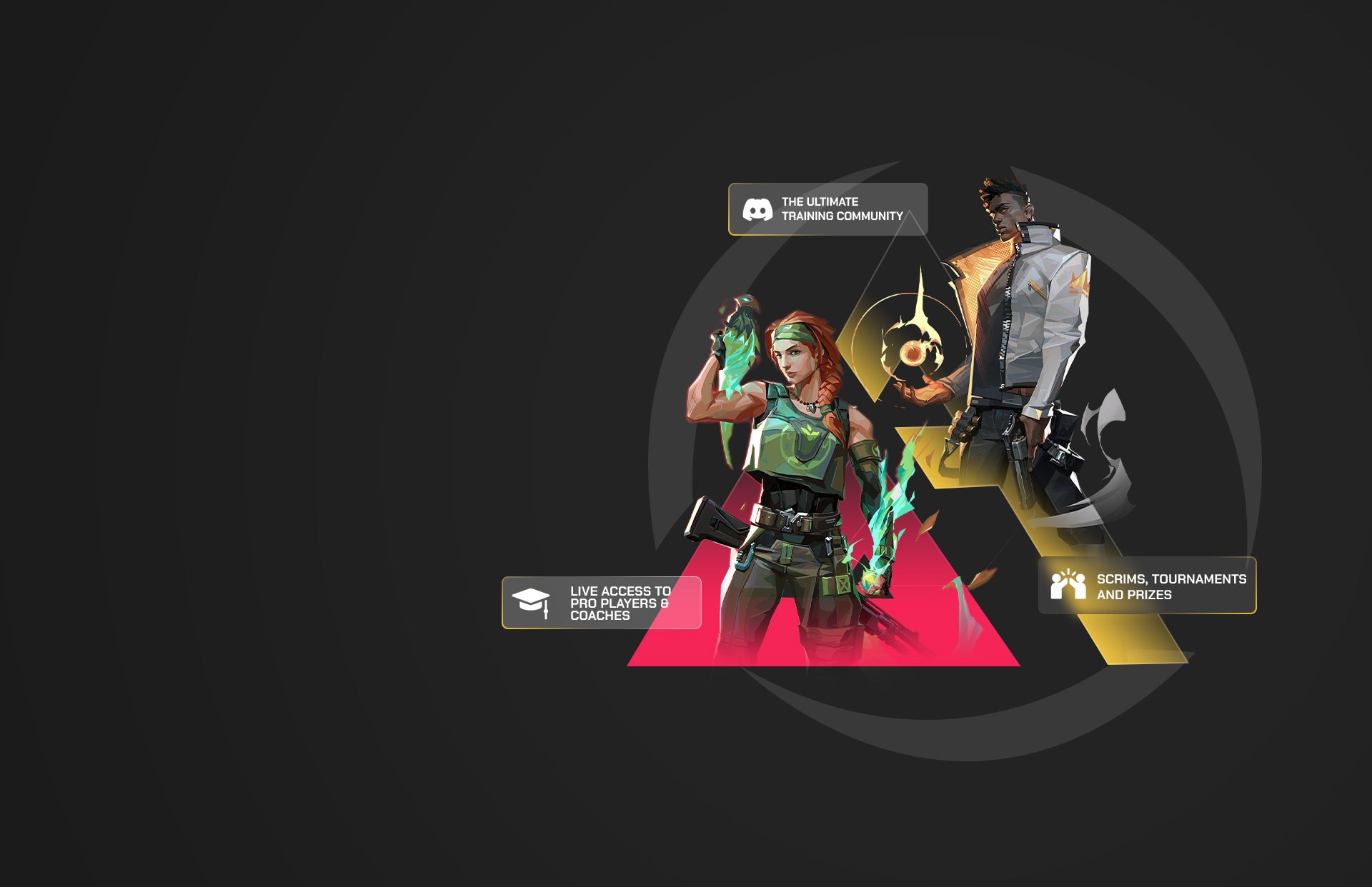 <span>Gosu Academy </span>Reach your <br>dream rank,<br> Guaranteed!