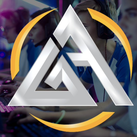 1:1 LoL 코칭 세션